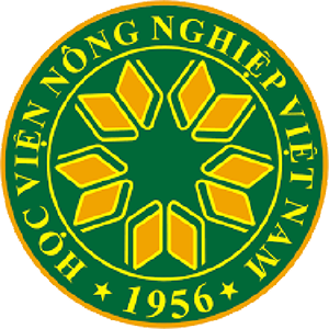 Rina Digital Marketing